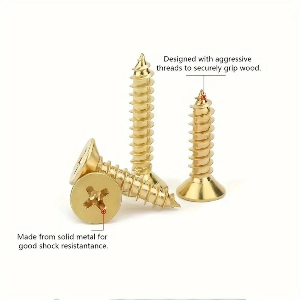 1200pcs 6 Kinds M2 M2.5 Brass Carbon Steel Flat Head Self Tapping Cross Recessed Pan Head Screw Assortment Kit Small Hinge Wood